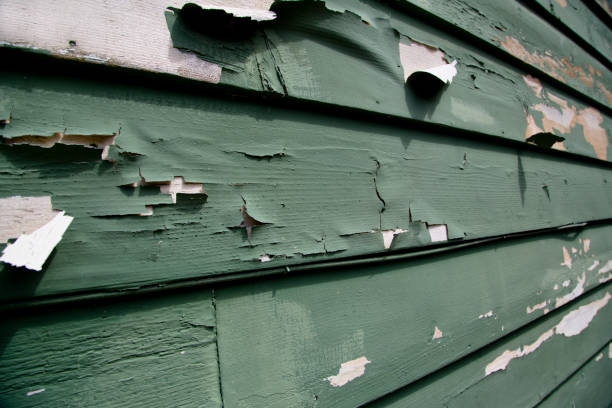 Best Shed Removal  in Chesterfield, IN