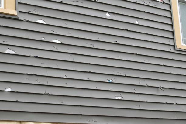 Best Property Management Cleanouts  in Chesterfield, IN