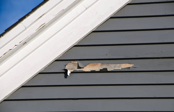 Best Appliance Removal  in Chesterfield, IN