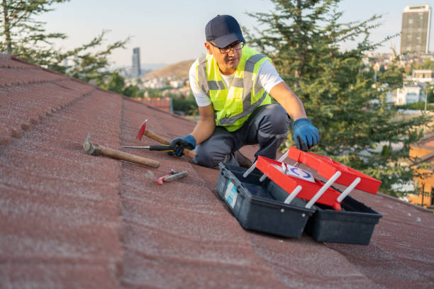 Best Construction Debris Removal  in Chesterfield, IN